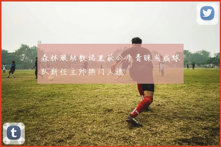 森林狼助教诺里获公牛青睐或成球队新任主帅热门人选