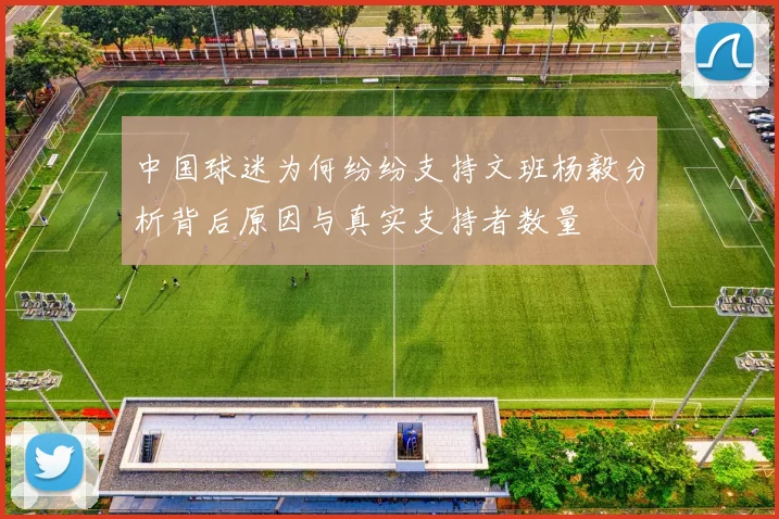中国球迷为何纷纷支持文班杨毅分析背后原因与真实支持者数量