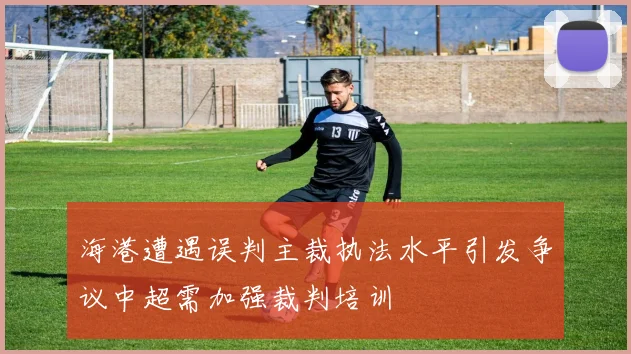 海港遭遇误判主裁执法水平引发争议中超需加强裁判培训