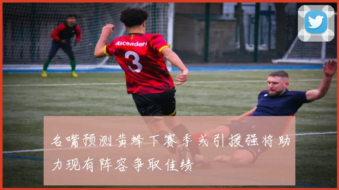 名嘴预测黄蜂下赛季或引援强将助力现有阵容争取佳绩
